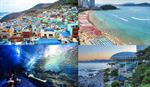 Du lịch Hàn Quốc mùa Hoa Anh Đào - Busan - Seoul - Đảo Nami  2024 (DPT32)
