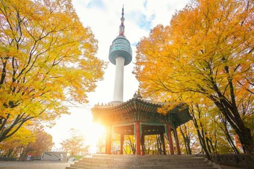 Du lịch Hàn Quốc mùa Hoa Anh Đào - Busan - Seoul - Đảo Nami  2024 (DPT32)