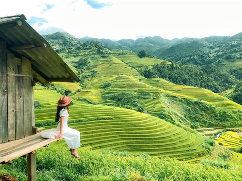 Tour Tây Bắc: Hà Nội - Sapa - Điện Biên - Mộc Châu - Hòa Bình (DPT84)