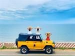 Jeep tour City Mũi Né - Phan Thiết